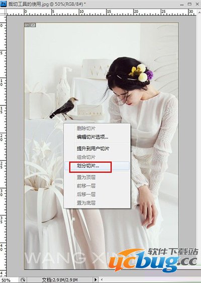 PhotoShop图像处理软件ps切片工具怎么使用