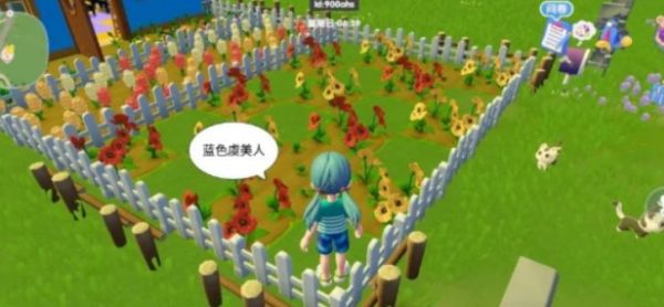 心动小镇虞美人杂交养花方法