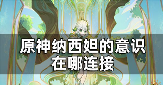原神纳西妲的意识在哪连接