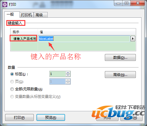NiceLabel怎么用键盘输入变量的创建及应用