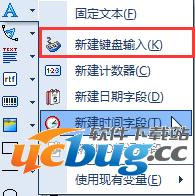 NiceLabel怎么用键盘输入变量的创建及应用