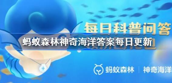 以下哪种深海鱼有海底渔夫之称 蚂蚁森林神奇海洋今日答案3月28日最新2024