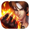拳魂觉醒无限钻石精简版